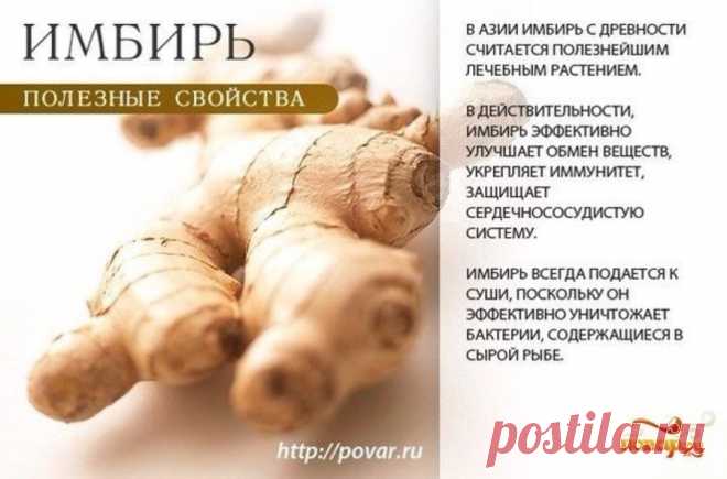 Имбирь полезные свойства