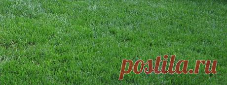 О своем газоне)). Выиграйте стильную сумку от интернет-магазина Клуб Красоты, разместив любой пост с сайта 7dach.ru в Постиле. Чем больше постов - тем выше шансы. Розыгрыш состоится в понедельник, 16 декабря. В акции участвуют все посты, которые содержат этот текст и фото сумки!