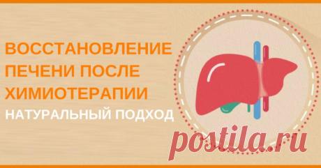 Восстановить печень после химиотерапии. 5 важных моментов. Восстановление при длительном курсе химии