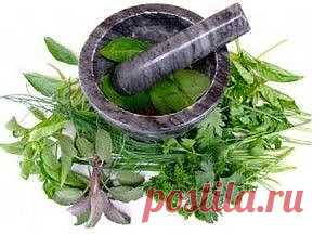 Чистка кишечника травами | Колопроктология