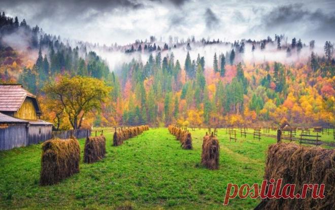 Все же осень фантастически прекрасна;)) 20 фотографий — Фотоискусство