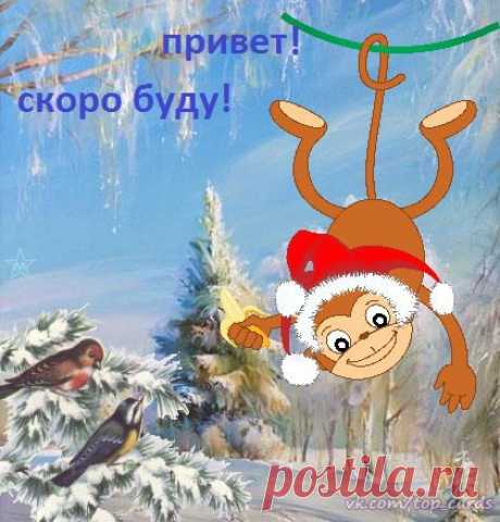 ЧТО НАДЕТЬ В НОВЫЙ 2016 ГОД - ГОД ОГНЕННОЙ ОБЕЗЬЯНЫ, ЧТОБЫ ПРИВЛЕЧЬ УДАЧУ

Новый год 2016 – это год Огненной Обезьяны. Красный цвет символизирует страсть, пылкость, импульсивность, а животное – Обезьяна - славится излишней активностью. Из этого мы можем сделать вывод, что год будет насыщенным и богатым на события. Новогодние наряды нужно выбирать золотого, красного, оранжевого, бордового, рыжего, перламутрового цветов, то есть наряжаться в «языки пламени».