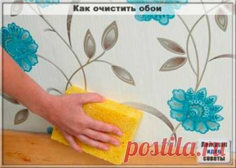 Как очистить обои

Вначале важно определить вид покрытия: чистка бумажных или флизелиновых обоев принципиально отличается от мытья виниловых покрытий. На рулоне обычно есть маркировка с указанной допустимой степенью контакта материала с водой.

Определить, разрешено ли полноценно мыть обои, можно и таким способом: выбери небольшой участок на стене, скрытый от глаз (к примеру, за креслом), протри его губкой, смоченной в мыльном растворе. Если рисунок на обоях остался в перв...