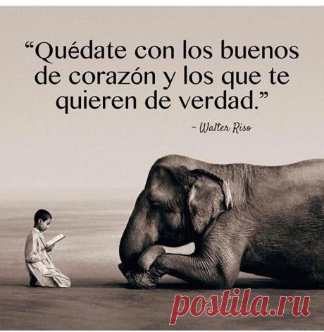 tu voz interior. —Osho— frases - Búsqueda de Google