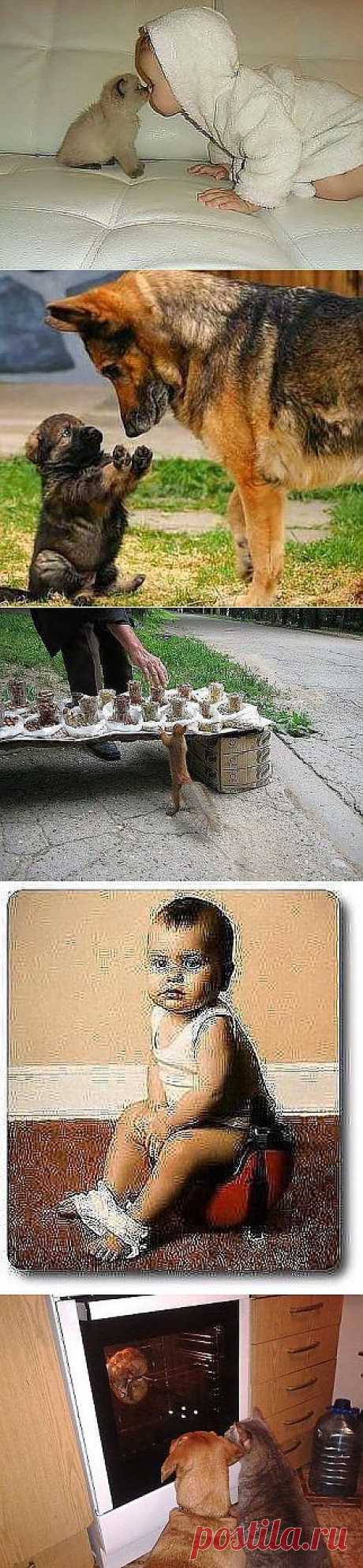 Позитив на выходные.