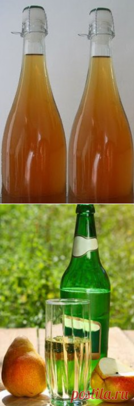 Грушевый сидр - простые и вкусные рецепты