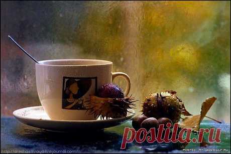 Каштан. Осеннее настроение