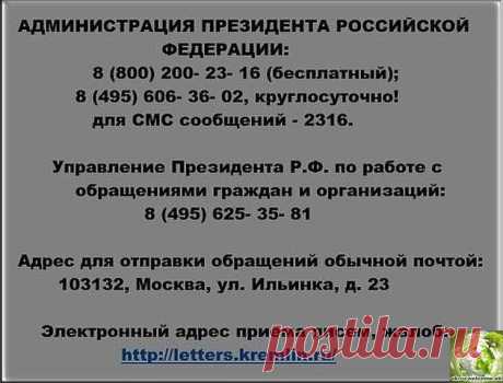 (66) Одноклассники