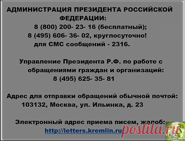 (66) Одноклассники