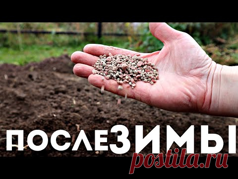 Раскидайте это на огороде весной как сойдет снег! Урожай будет в 3 раза больше!!! Аммофос весной
