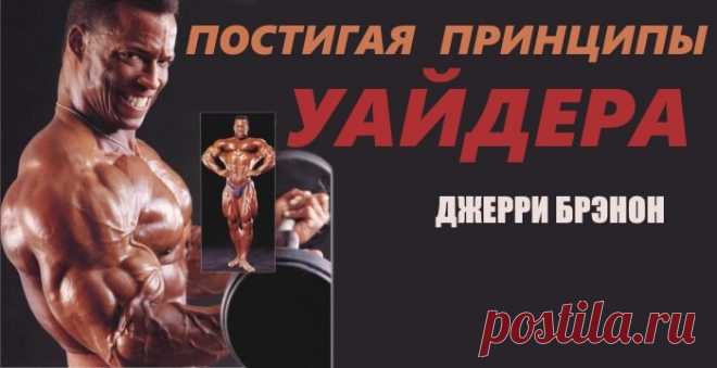 Постигая принципы ВЕЙДЕРА / Система тренировок В одной статье невозможно рассказать о всей системе тренировочных принципов Вейдера. Познакомимся только с теми принципами, которые составляют фундамент тренировки