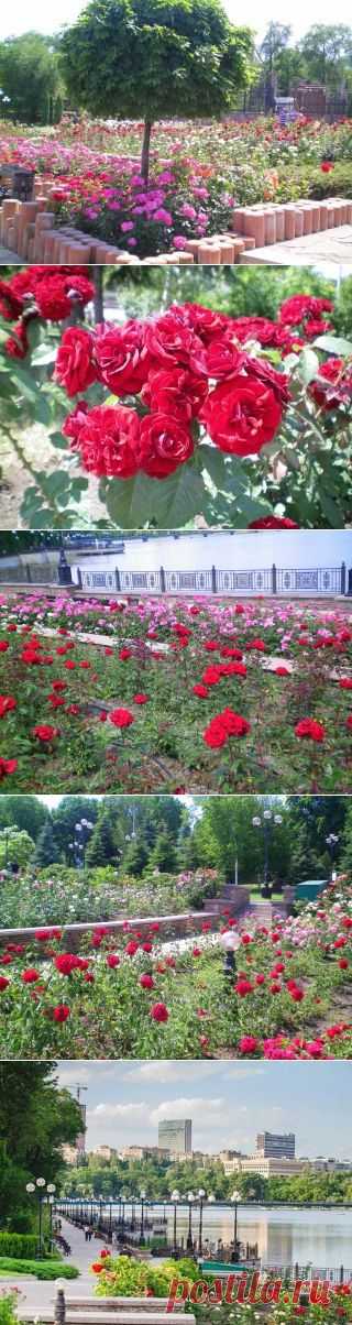 (2) Одноклассники