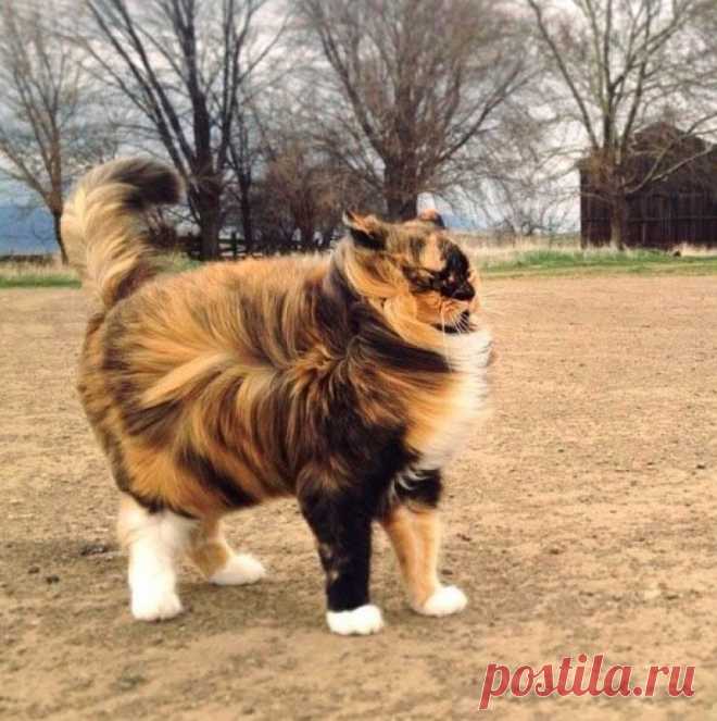 Кратко о погоде