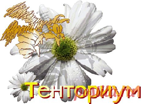 Клеточное питание "БИОАКТИВ" с маточным молочком и кедровым орехом для нашего организма. Мгновенно доставит необходимые ресурсы.Незаменим при стрессовых нагрузках. Обеспечит высокий жизненный тонус, сексуальную активность и правильный настрой! 
Молочный коктейль"Биоактив" с хитозаном моментально поможет восполнить энергию, снять боли в мышцах и суставах, вывести токсины. В составе молочная сыворотка, сухие сливки, хитозан.
Жизненный тонус и всегда позитивный настрой!