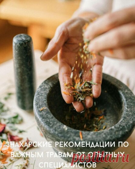 Знахарские рекомендации по важным травам от опытных специалистов