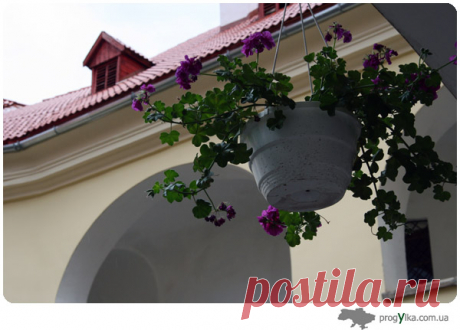 Мукачево-Замок-Князей-Ракоци.