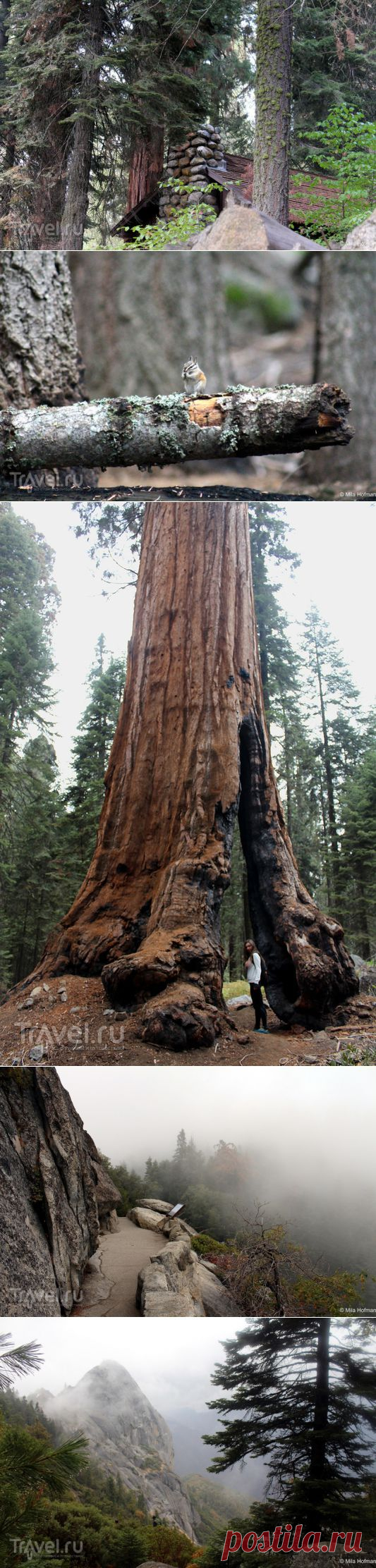 Sequoia and Kings Canyon парк | Города и страны