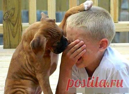 Друг не тот кто пожалеет, а тот кто порадуется с тобой, за тебя.
Да плевать я хотела на философию!!! Когда мне больно, я как и все, хочу чтобы меня пожалел настоящий друг.