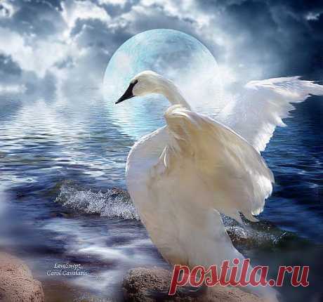 Love Swept Mixed Media by Carol Cavalaris - Love Swept Fine Art Prints and Posters for Sale