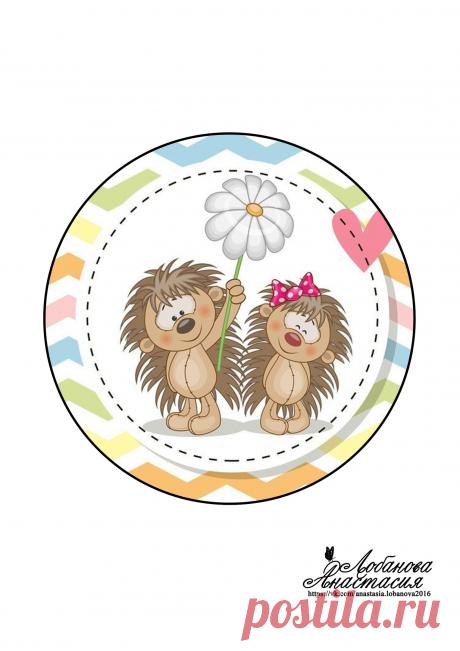 TD0FV1P5ZU4.jpg (1527×2160)