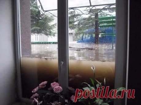 Пожалуй, лучшая реклама окон