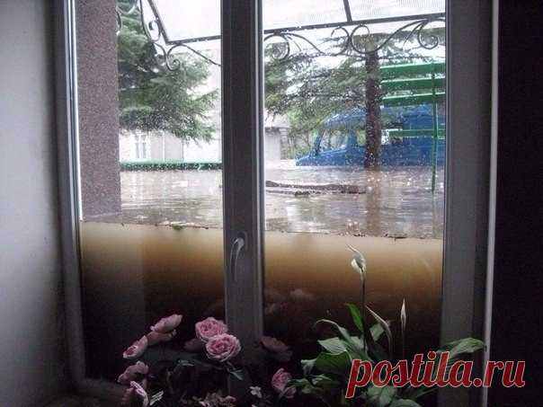 Пожалуй, лучшая реклама окон