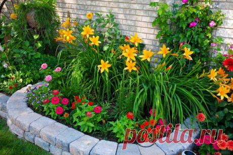 Красивая , яркая клумба .