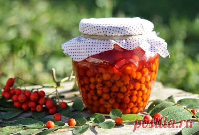 Рябина на зиму - простые рецепты вкусных и полезных заготвок Заготовка рябина на зиму не так популярна среди дачников, как смородина или малина. А между тем, варенья и джемы из этой ягоды получаются не менее вкусными