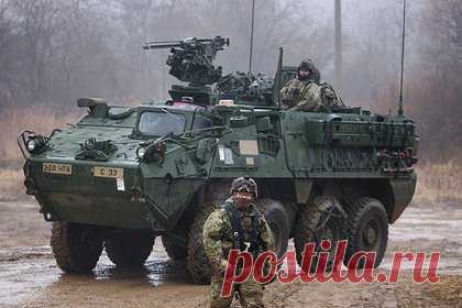 В ДНР отказались считать переданные Киеву Stryker выдающейся бронетехникой. Возможная передача Киеву американских бронемашин Stryker свидетельствует лишь о том, что ВСУ нечем пополнять запасы легкой бронетехники, рассказали в Народной милиции ДНР. При этом «Страйкеры» не являют собой ничего выдающегося — обычный колесный бронетранспортер.