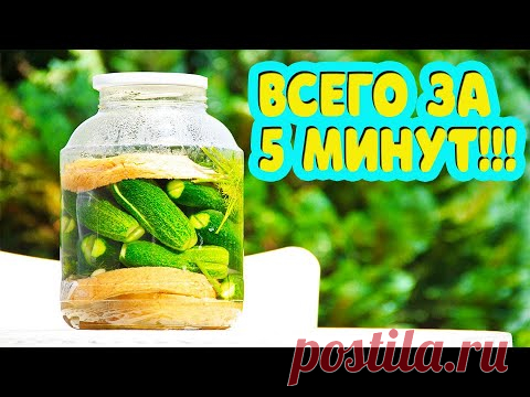 Быстро, всего за 5 минут. Огурцы малосольные холодным способом. Готовить вкусно, просто.