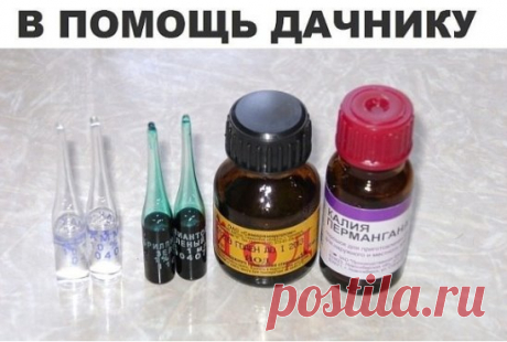 ПОМОЩНИКИ САДОВОДА - ОГОРОДНИКА....ИЗ АПТЕКИ!