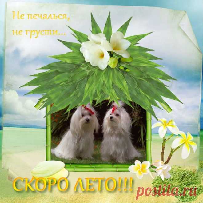 СКОРО ЛЕТО И КЛЕЩИ, НЕ ЗАБЫВАЕМ О СТРАХОВКЕ