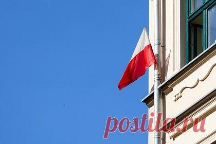 В Польше испугались мировой войны из-за США. Депутат сейма, лидер партии «Конфедерация» Януш Корвин-Микке заявил, что США могут втянуть Польшу в мировую войну. «Американцы пытаются предотвратить мировую войну. Однако очень многие хотели, чтобы не было войны, а потом как-то сделали так, чтобы она случилась», — высказался он в беседе с Myśl Polska.