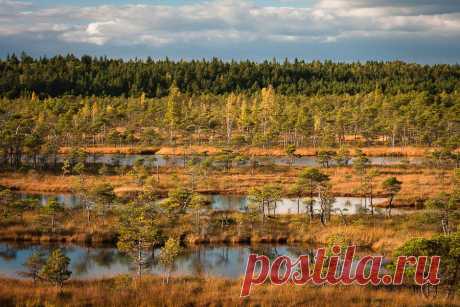 35PHOTO - Ēriks Zilbalodis - Без названия