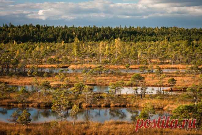 35PHOTO - Ēriks Zilbalodis - Без названия