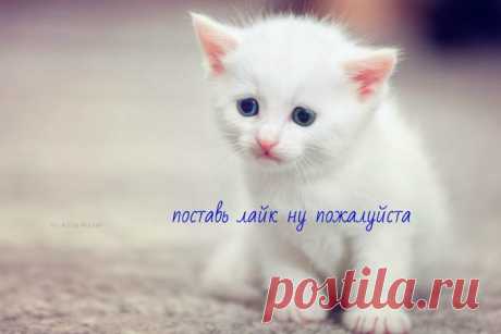 лайк