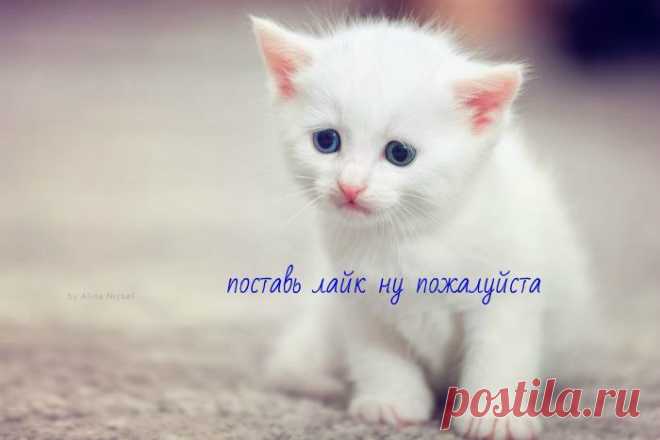 лайк