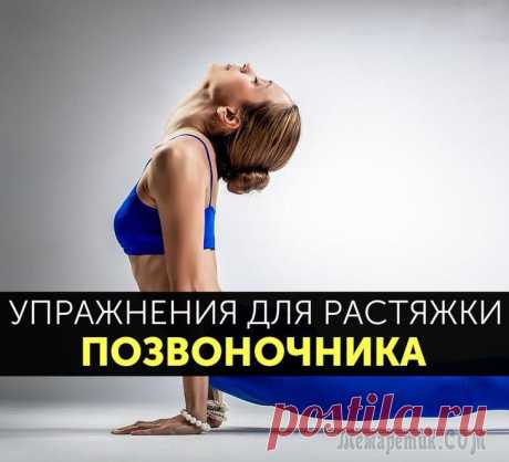 10 лучших упражнений для растяжки позвоночника Упражнения для растяжки спины и позвоночника – отличный способ не только чувствовать себя живым и бодрым в течение всего дня, но и прекрасная возможность стать немного выше! Предлагаем вашему вниманию...