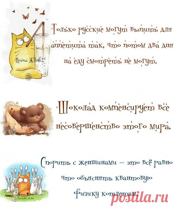 Прикольные фразочки в картинках .