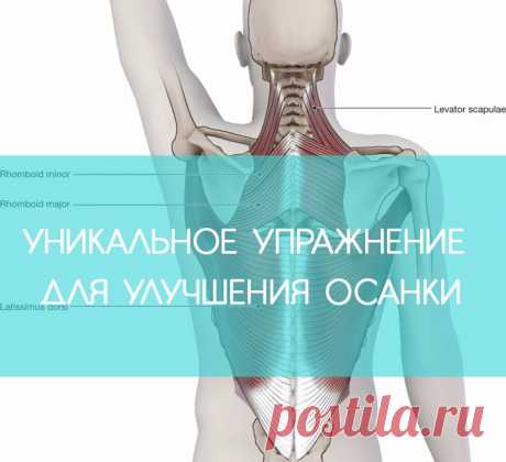 Самое уникальное упражнение для улучшения осанки Поскольку способов укреплять спину не счесть, специалисты выбрали лишь одно упражнение. Но зато какое!..