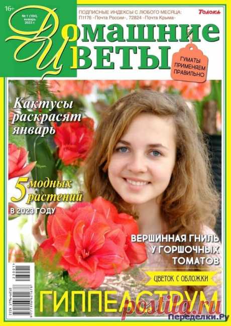 Домашние цветы №1 2023 Читать журнал ОНЛАЙН