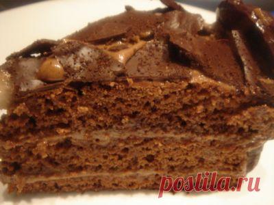 Торт «Шоколадный Мокко» : Торты, пирожные