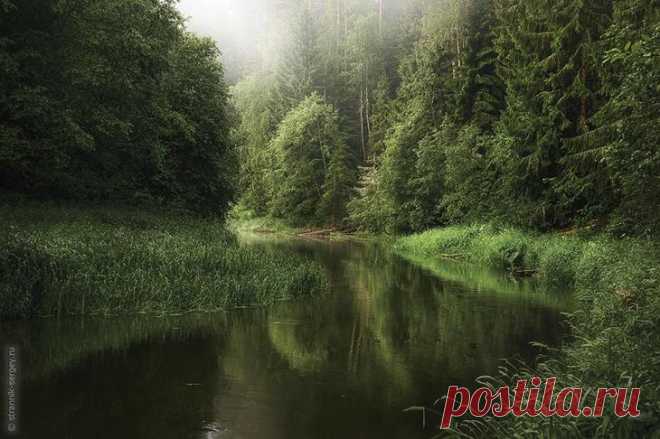 Времена года | Природа планеты в объективе