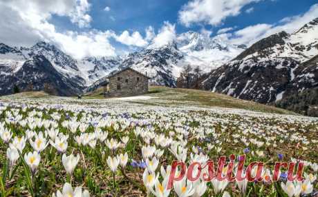 Весна в Альпах.