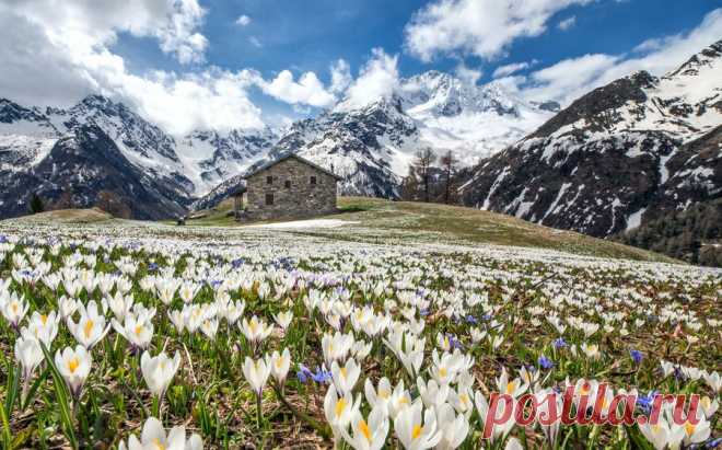 Весна в Альпах.