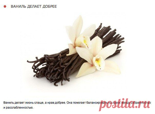КреатиВ