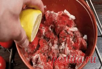 все о тесте