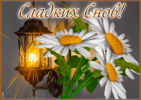 Вдохновляющая гиф-открытка, сладких снов вам