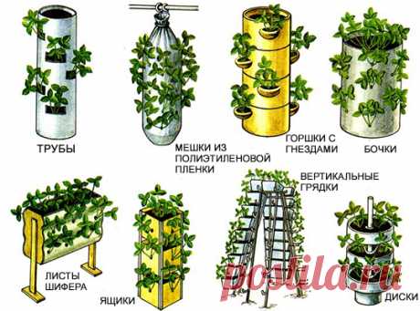 Как сделать оригинальные вертикальные грядки :: Дизайн дачи
