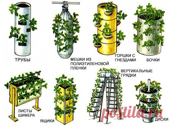 Как сделать оригинальные вертикальные грядки :: Дизайн дачи